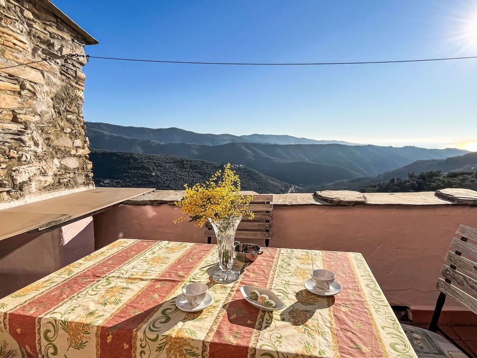 Home, Cottage, Estate, Shade, Garden, Backyard, Yard, Hacienda, Landscaping, Garden Buildings