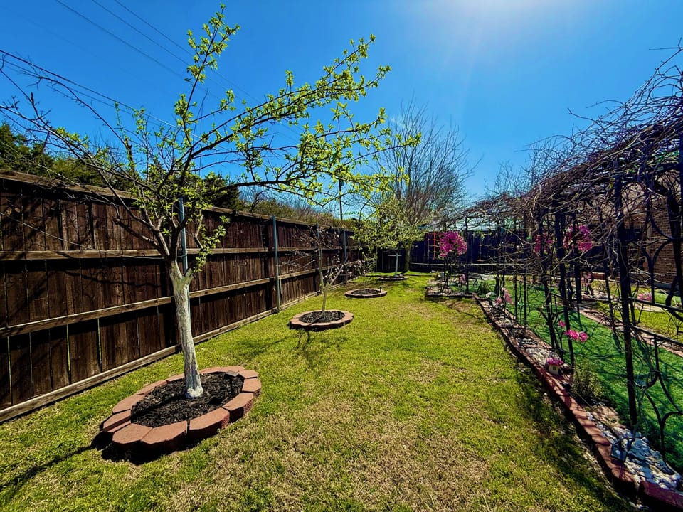 Pick Your Own Grapes – Straight from the Vine! May to August