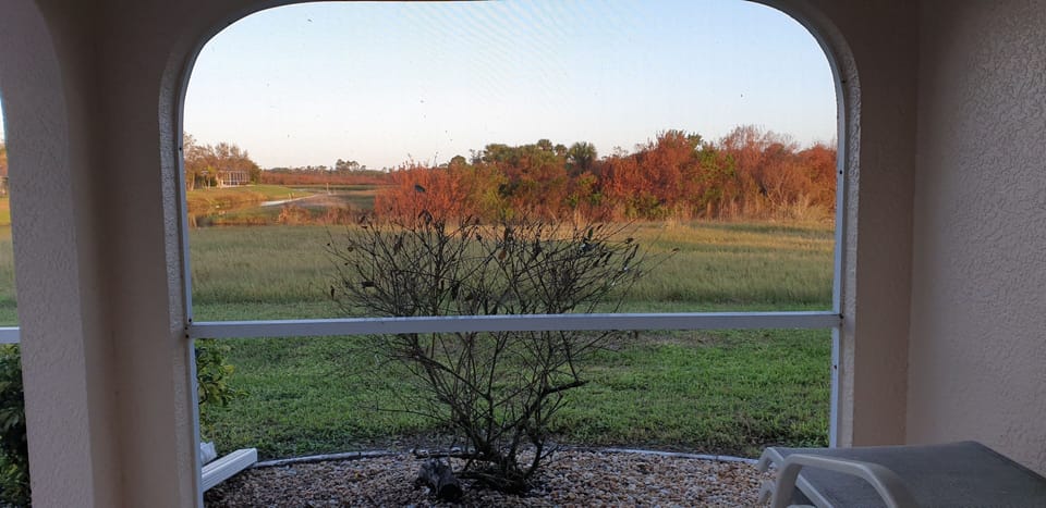 View from the lanai across to the Nature Reserve