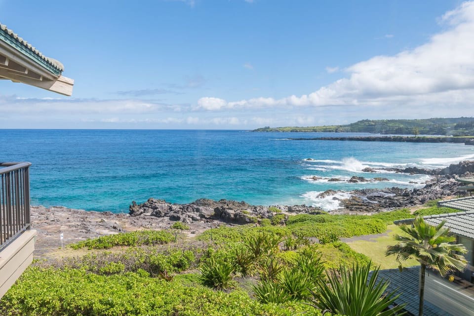 View from the bedroom