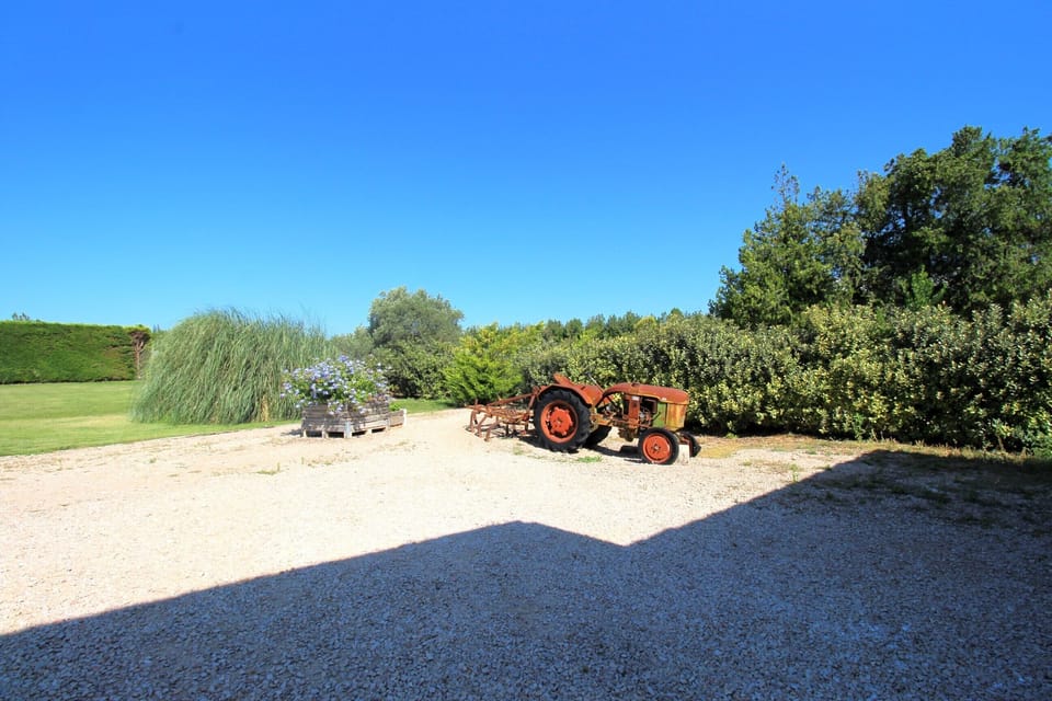 Garden (6)