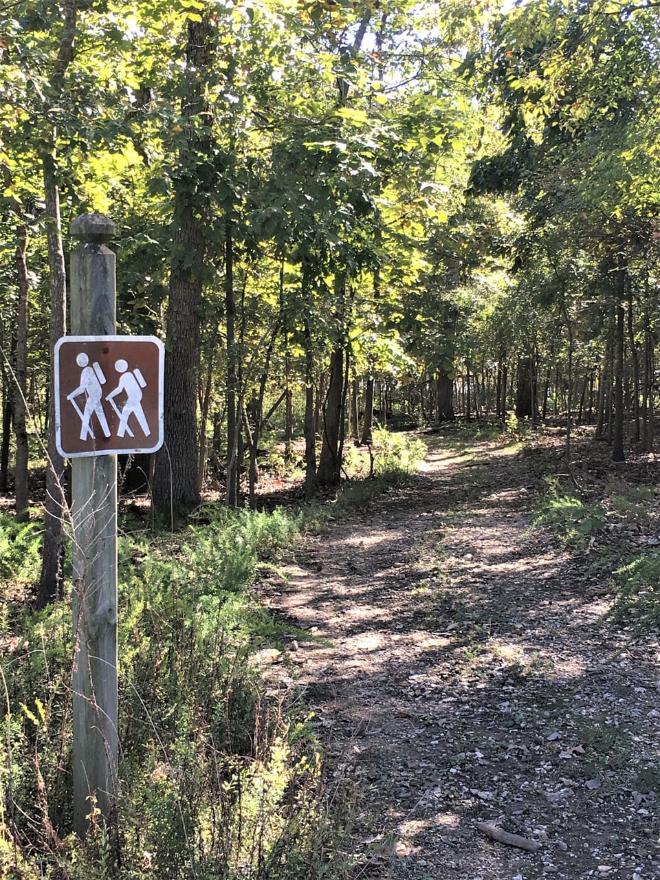 Nearly 1-mile of lakefront at the Resort and 7-miles of walking trails on Indian Point