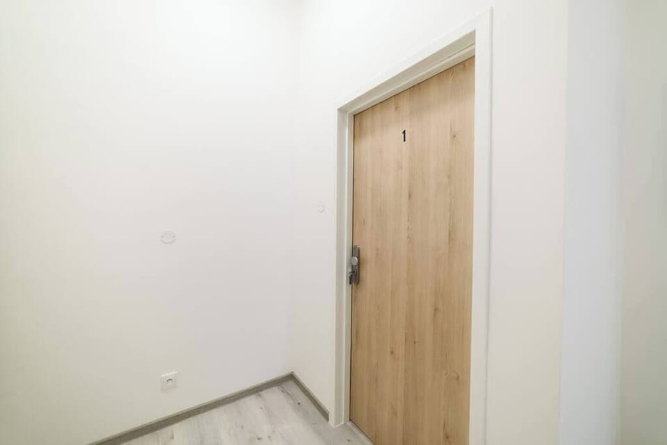 Entrance to the apartment