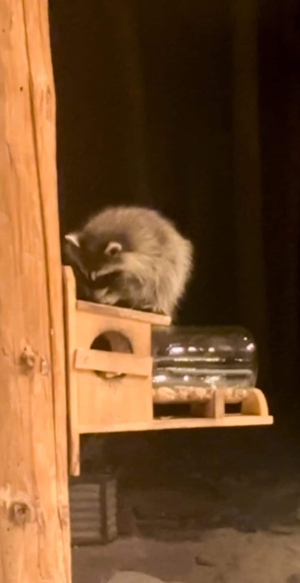 We have lots of wildlife around our Cabin