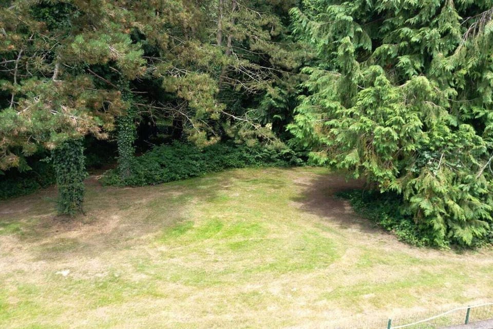 Garden [summer]