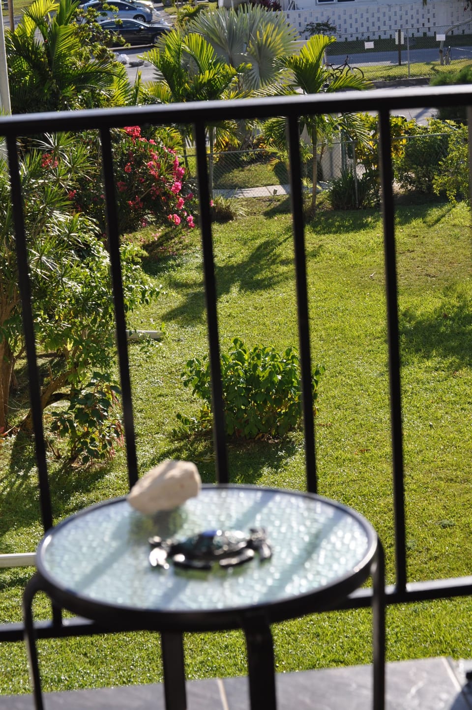 Garden view from balcony