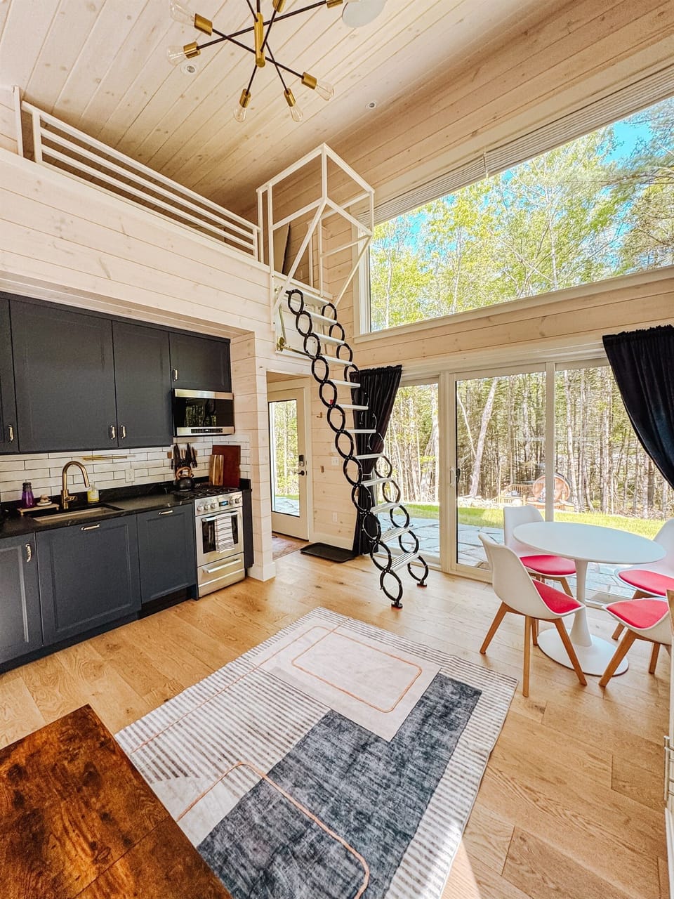 Living room with loft ladder down