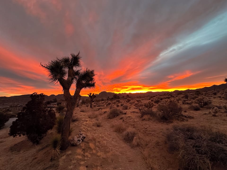 Sunrise