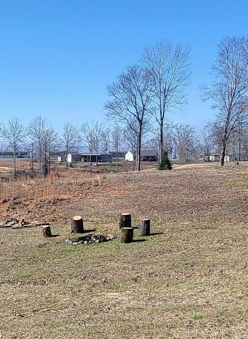 fire pit