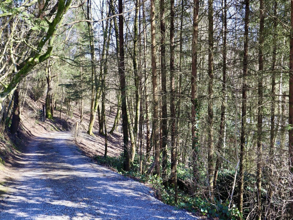 Immediate Surroundings [summer] (<1 km)