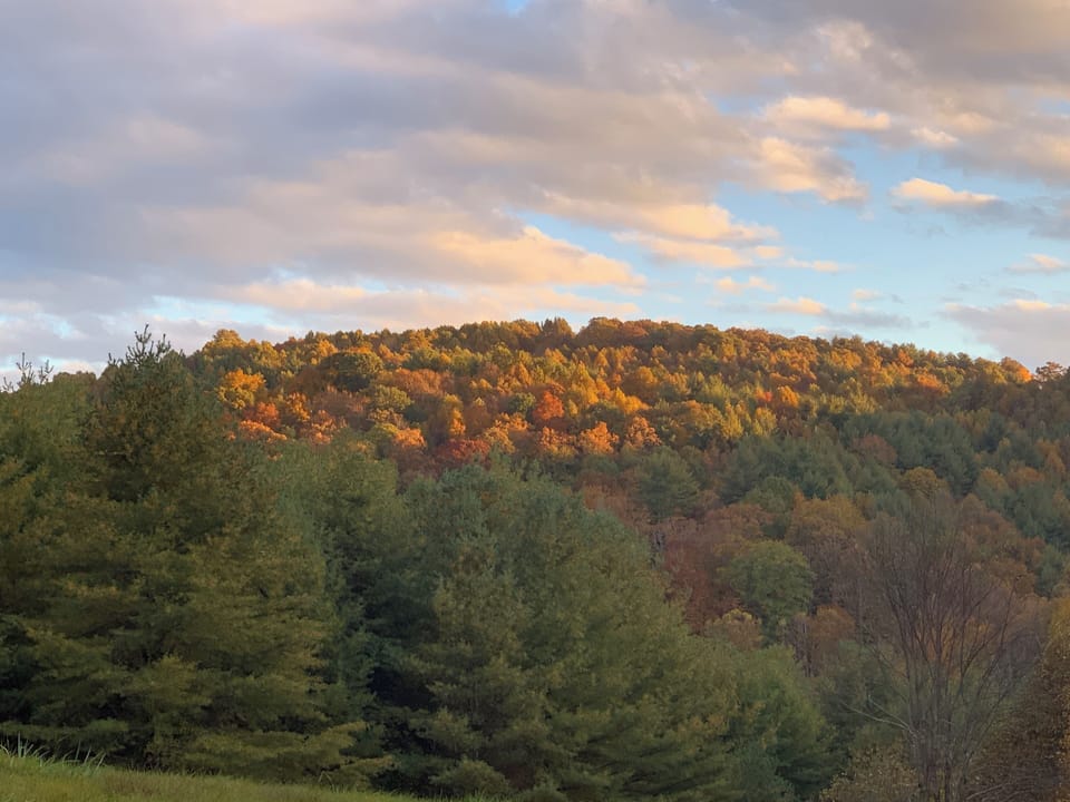 Front yard Mountain View