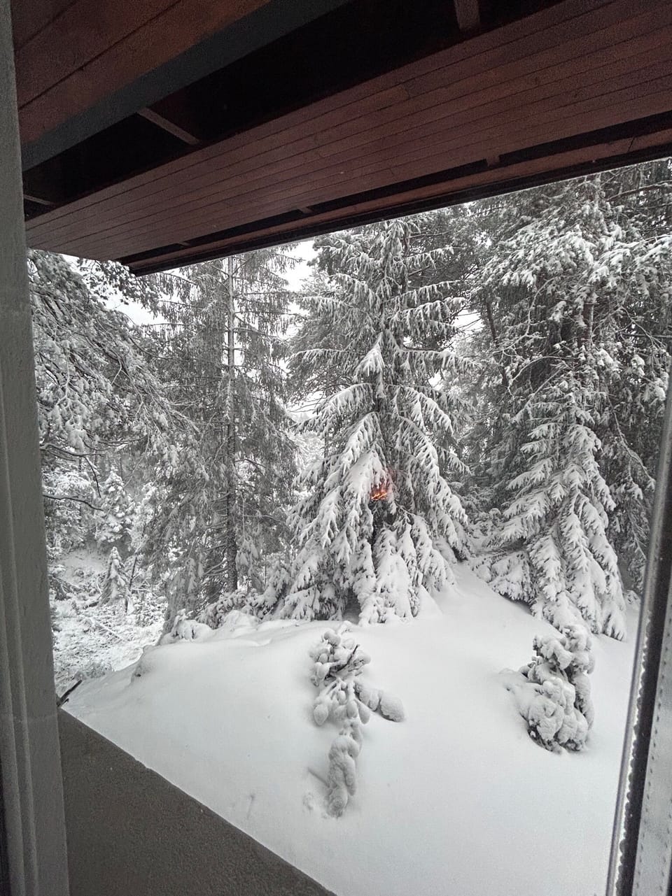 View from property