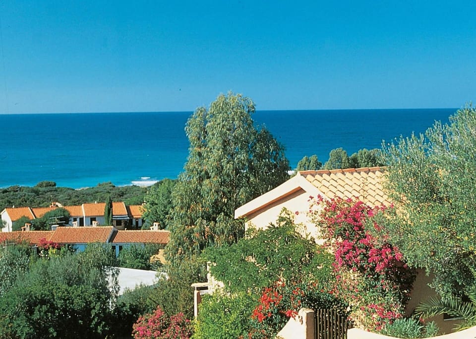 View from Holiday Home [summer]