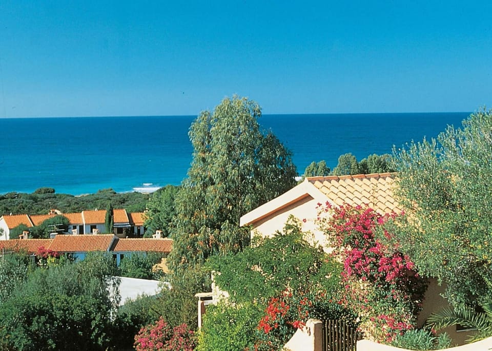 View from Holiday Home [summer]