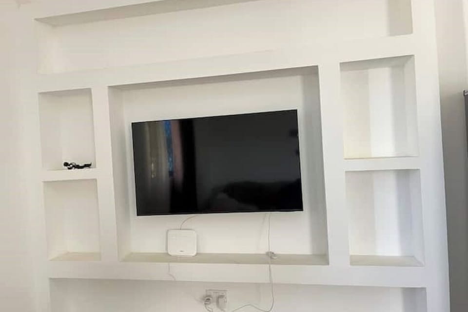 Television