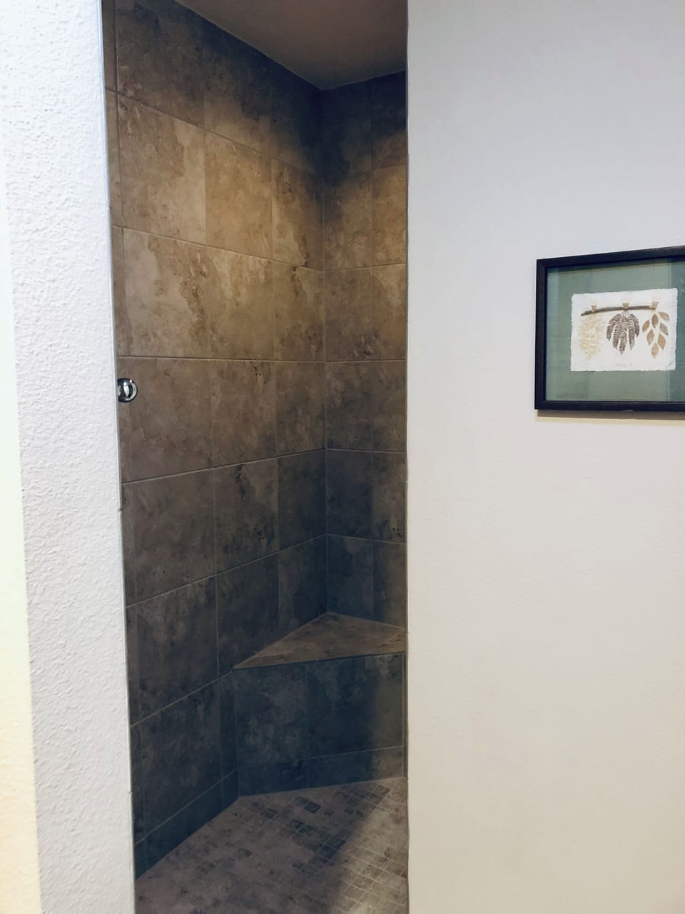 Entrance to Walk In Shower (Master Bathroom)