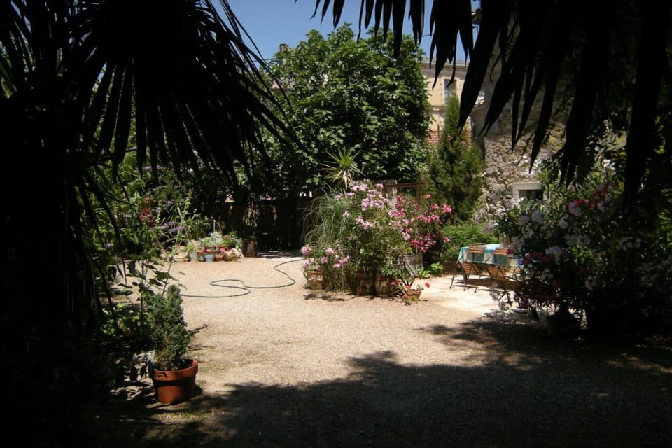 Garden [summer]