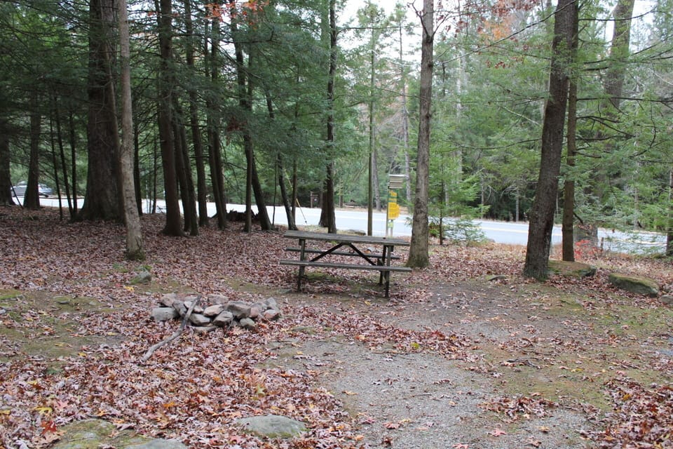 Campfire area