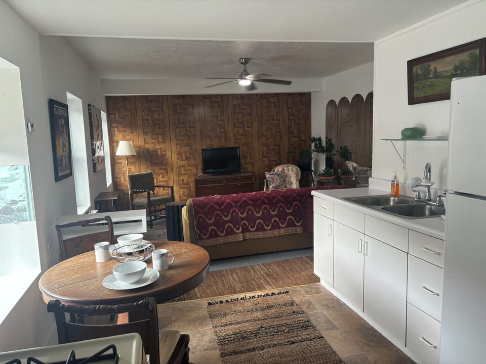 Dining, kitchen, and living area. Roku tv, and pull out couch.