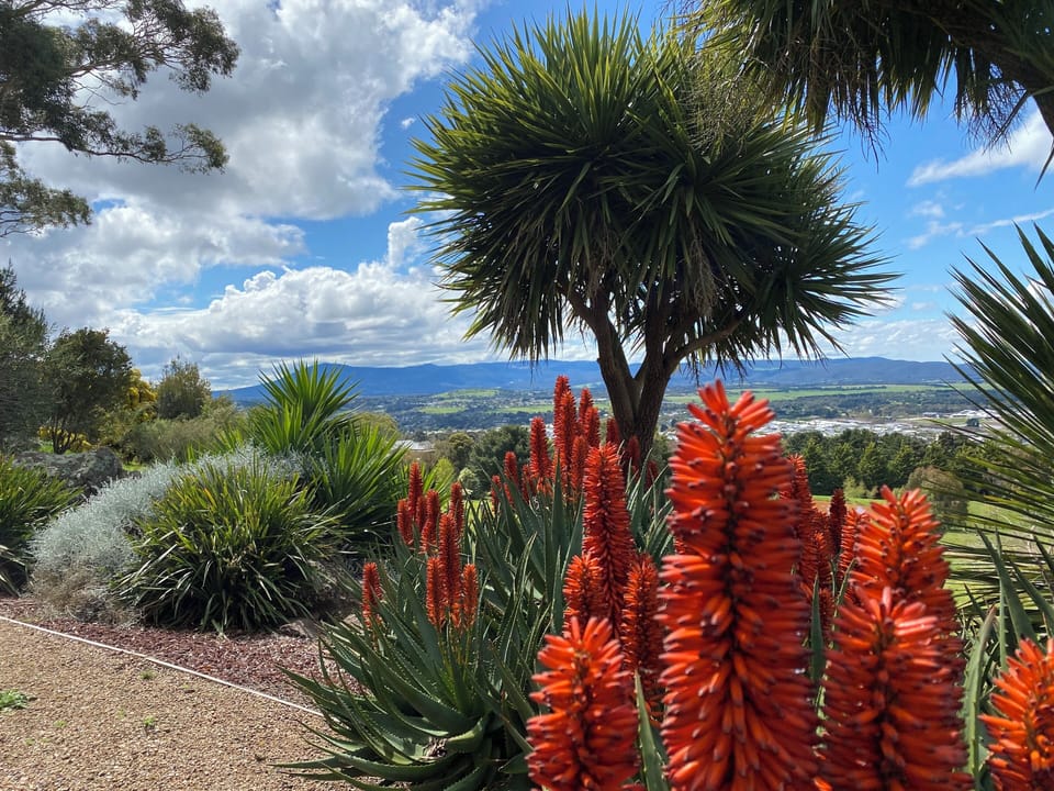 Native garden with views to the ranges
