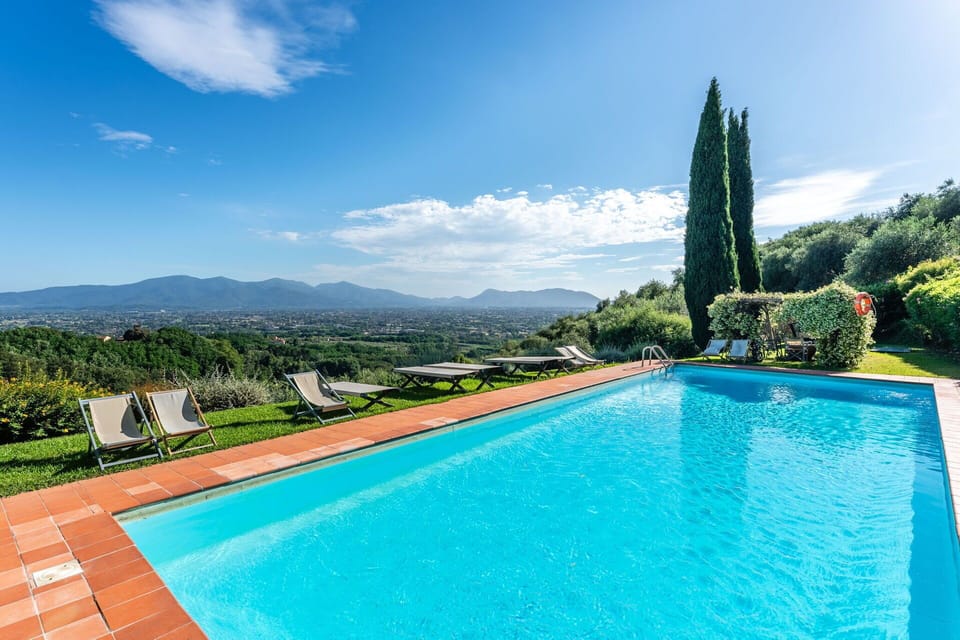 Garden, Outdoor, Pool