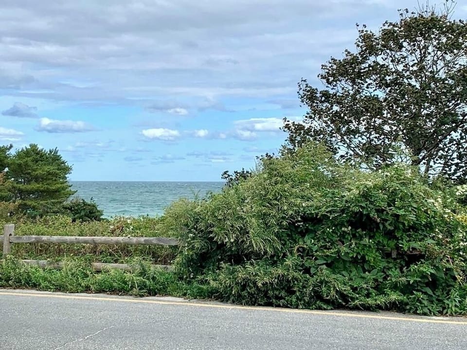 View from front of the house