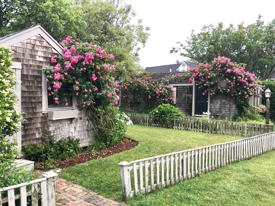 Front of home and side yard when roses are in bloom