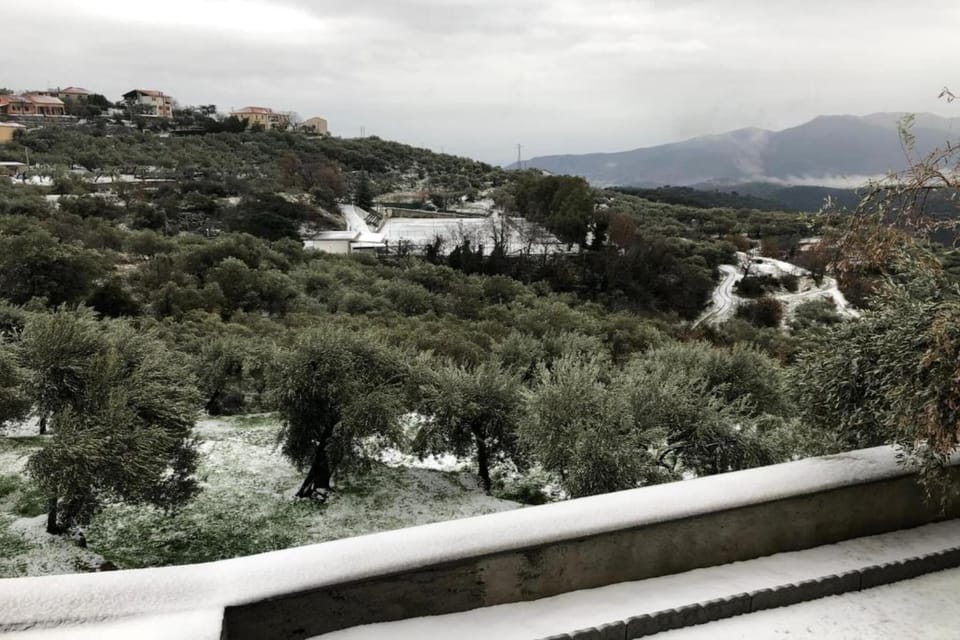 Region [summer] (>5 km)