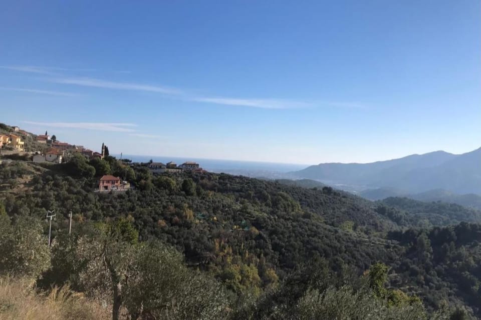 Region [summer] (>5 km)