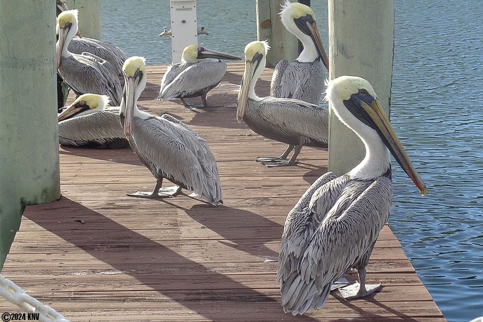 Santa Maria Harbor Resort Condominiums