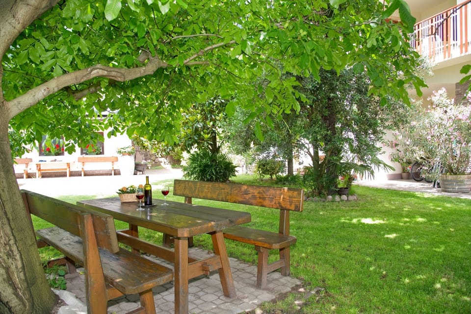 A shared seat under the tree