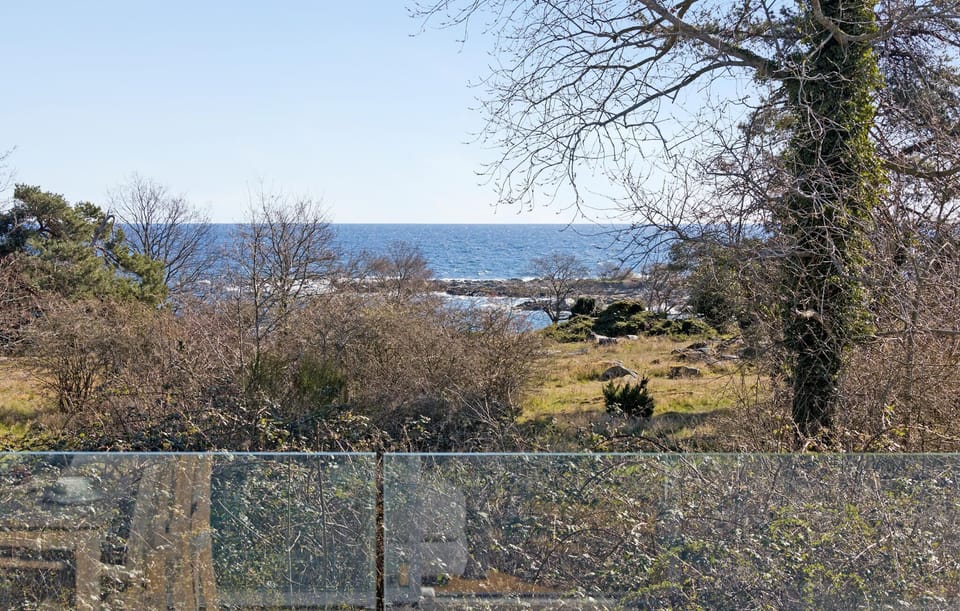 view-from-room
