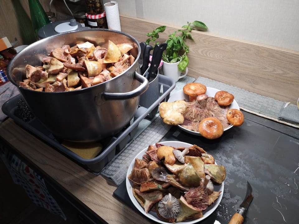 Food and drink