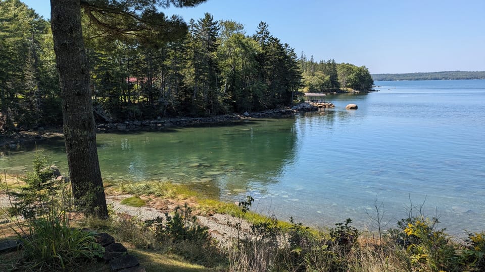 peaceful Mill Cove, house sits elevated with expansive views of the water