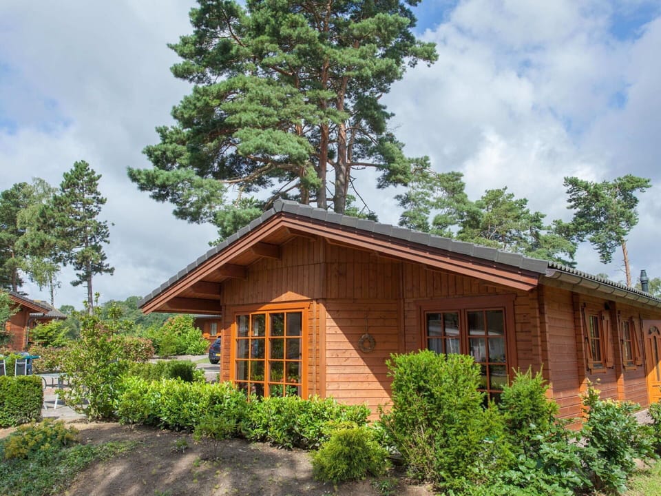 House, Cottage, Shrub, Home, Roof, Land Lot, Garden Buildings, Garden, Door