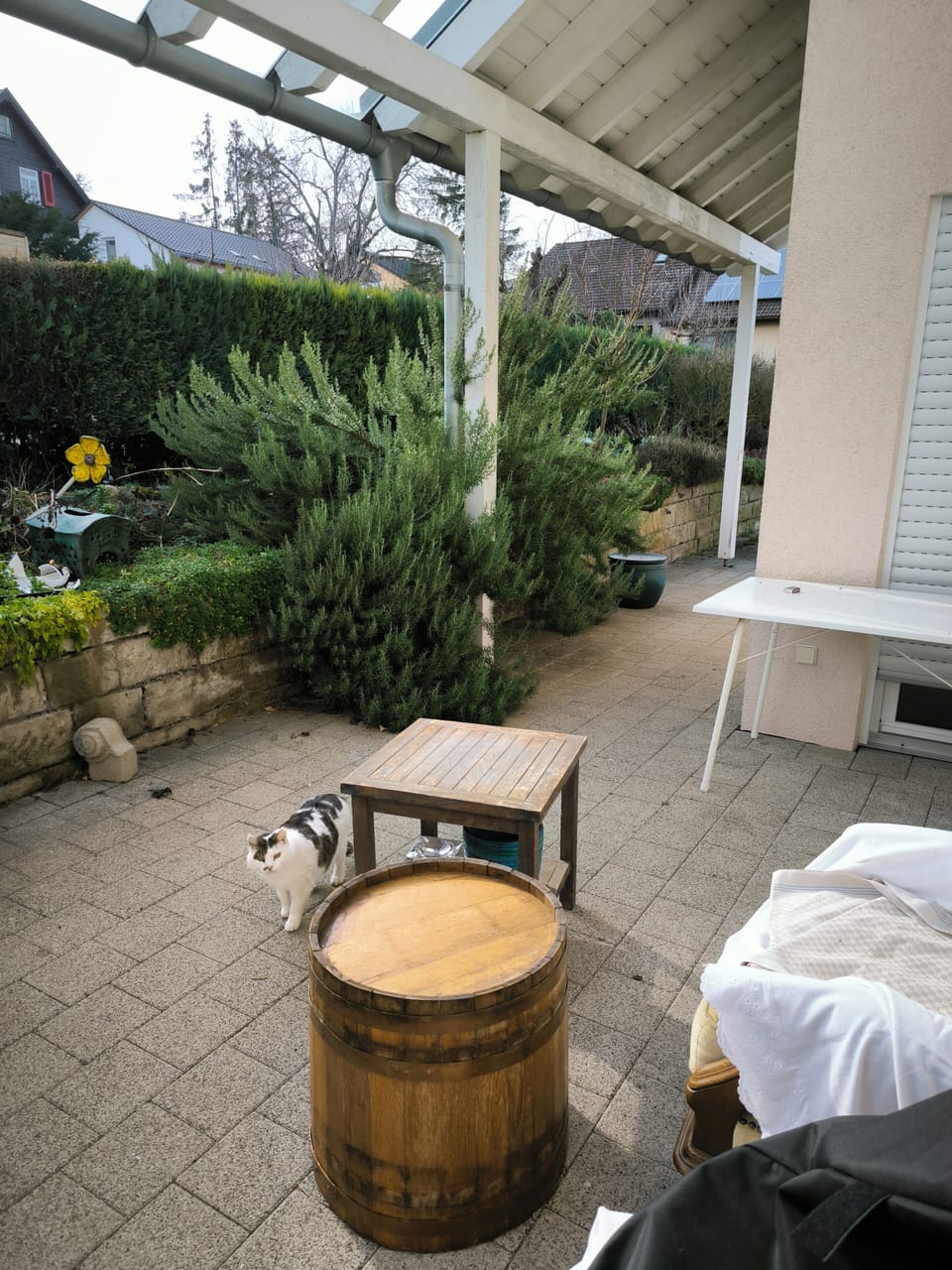 Terrace/patio