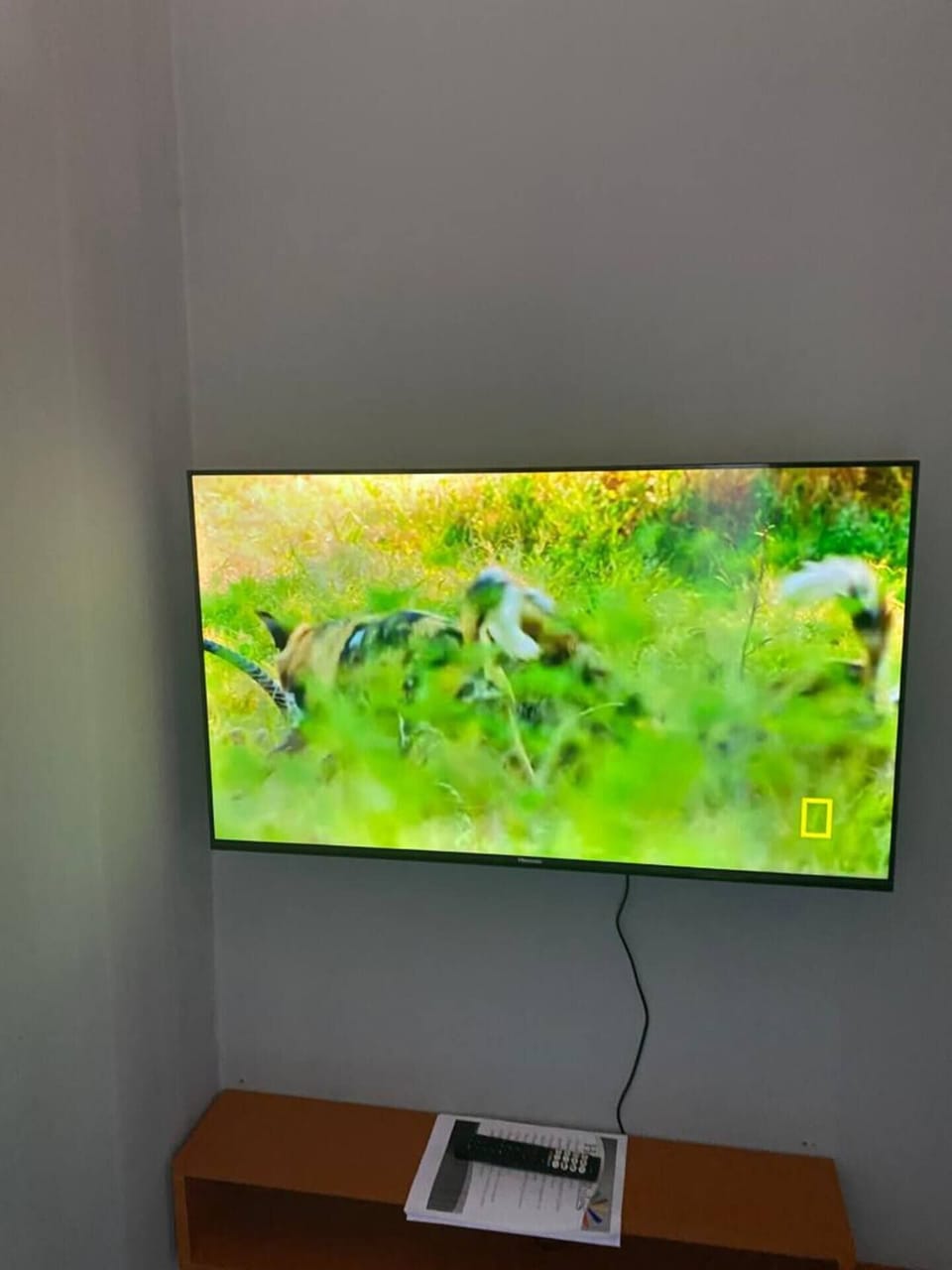 Television