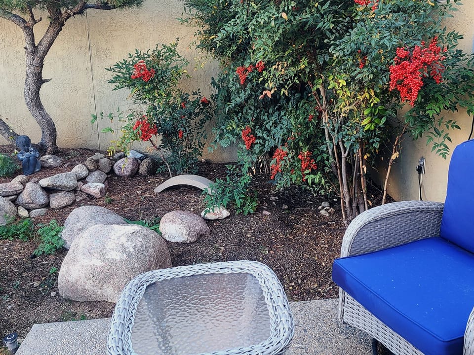 Small patio outside Mbdrm