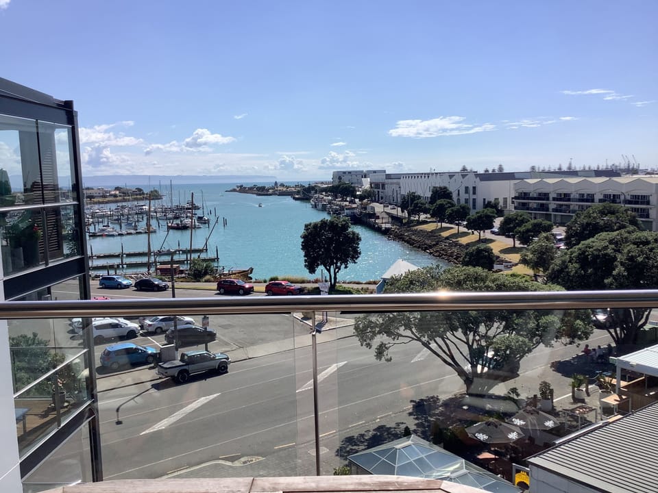 The View