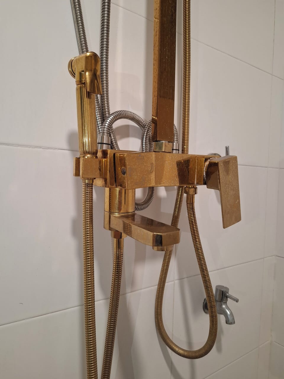 Hand-held showerhead