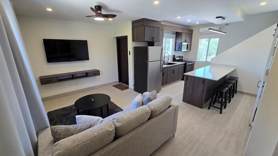 Living room and Kitchen