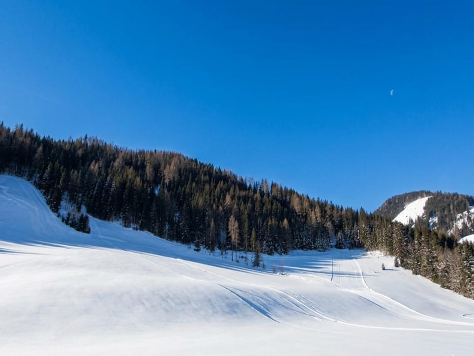 Immediate Surroundings [winter] (<1 km)