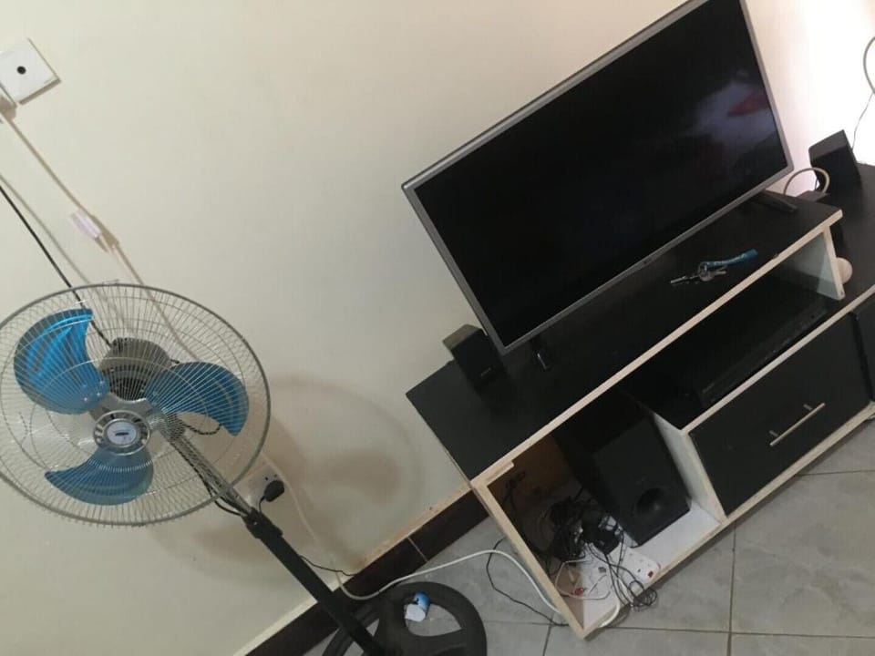 Television