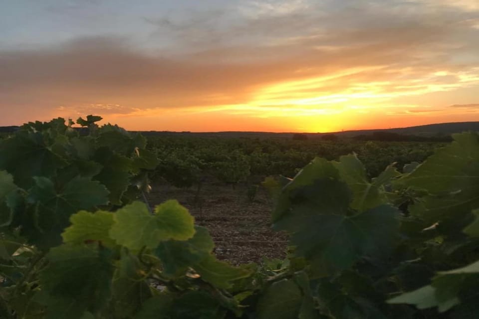 Region [summer] (>5 km)