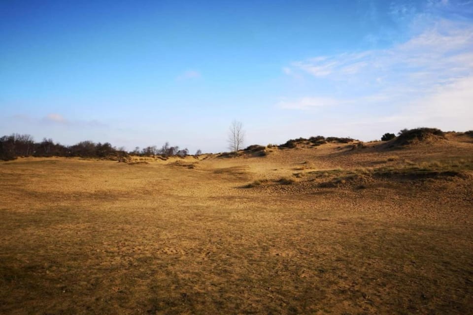 Surroundings [summer] (1-5 km)