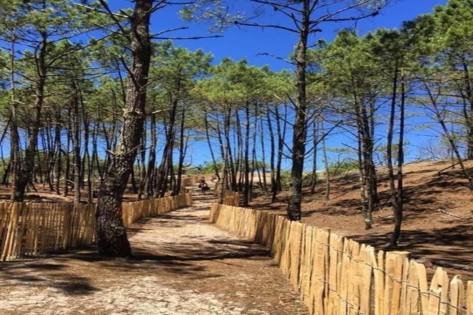 Surroundings [summer] (1-5 km)