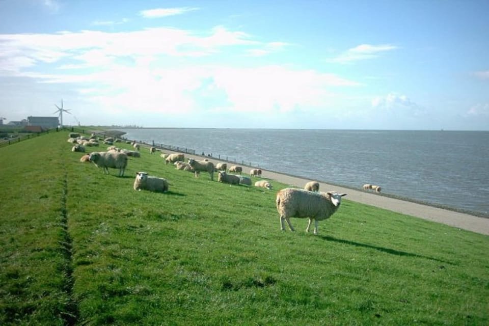 Surroundings [summer] (1-5 km)