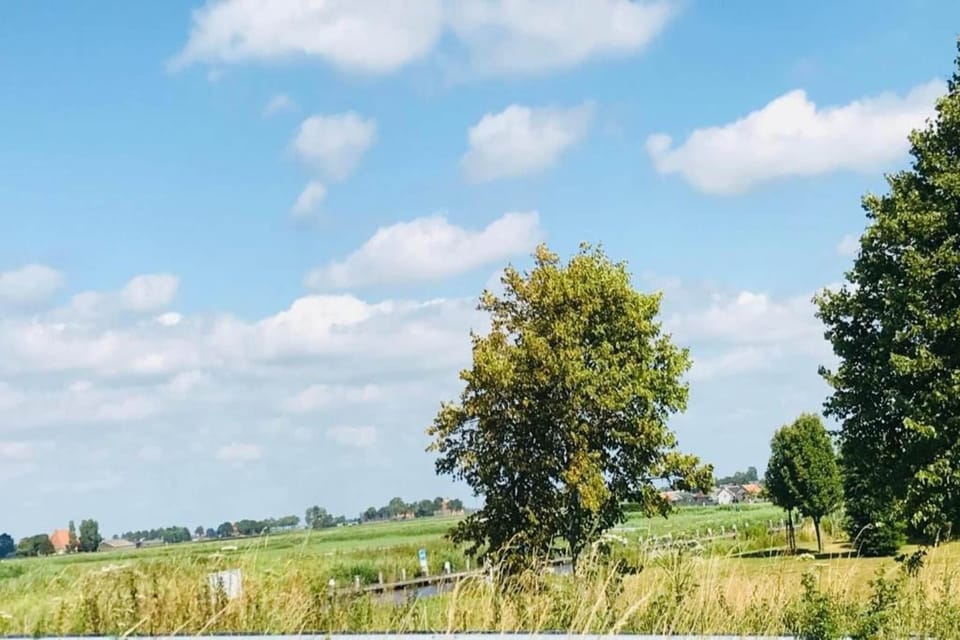 Region [summer] (>5 km)