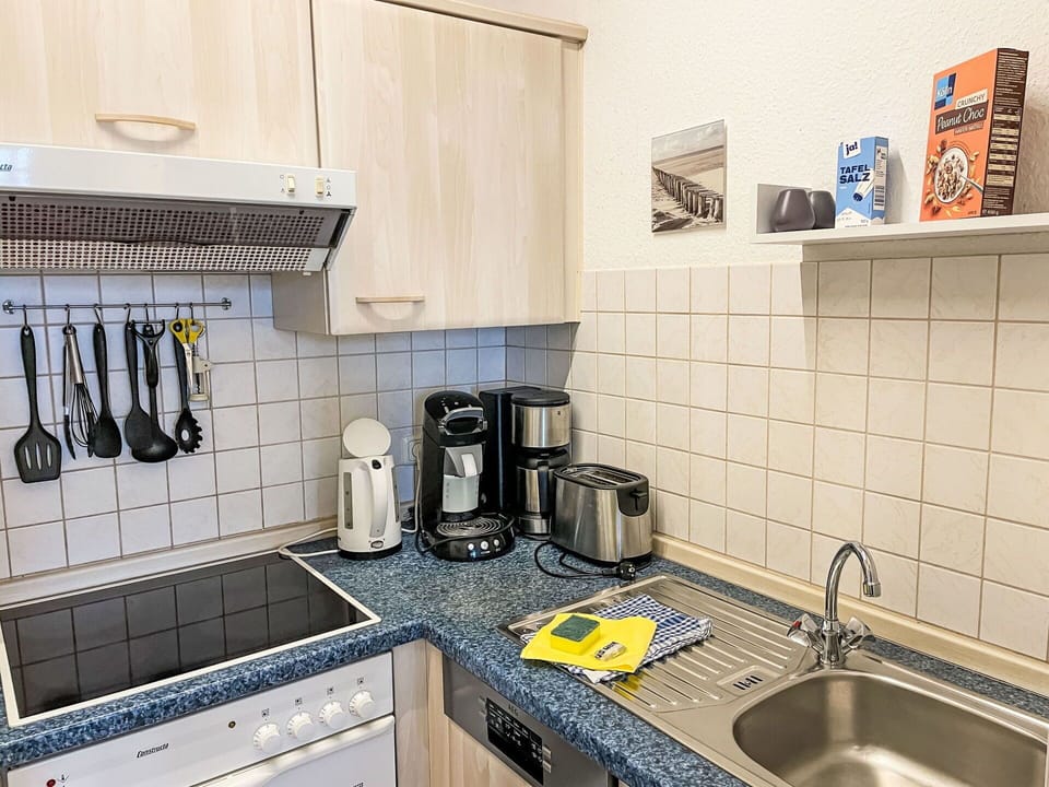 Kitchen Appliance, Kitchen, Major Appliance, Countertop, Kitchen Sink, Kitchen Stove, Plumbing Fixture, Sink, Small Appliance, Stove