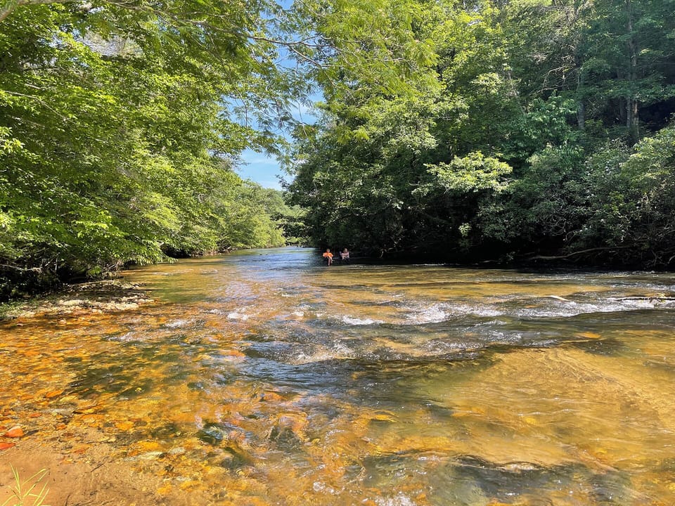 Short hikes on the property to the beautiful Mitchell River